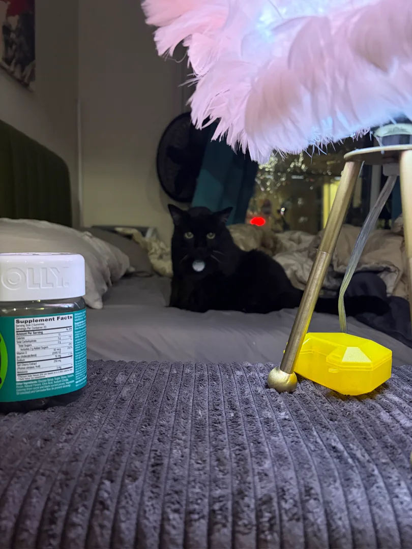 He dandered up my bed a lot, I still need to wash the sheets